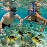 images (11)