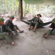 images (100) images (100)